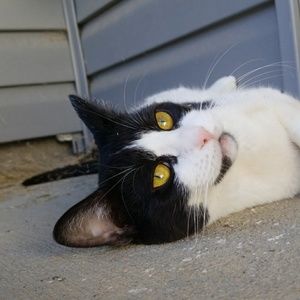 Meet your Posher, Kerry